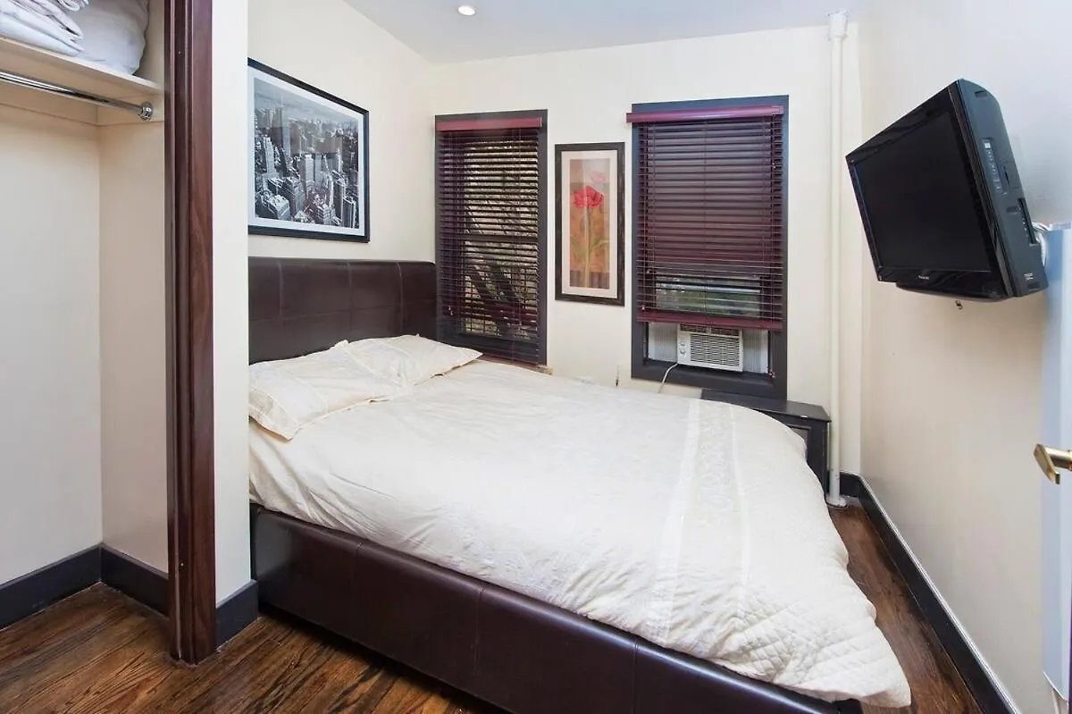 The Ideal II Vibe 8558 New York